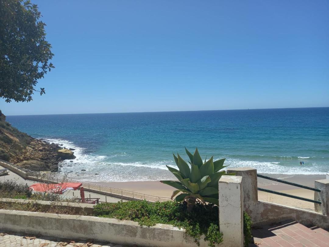 Villa Casa Madeira